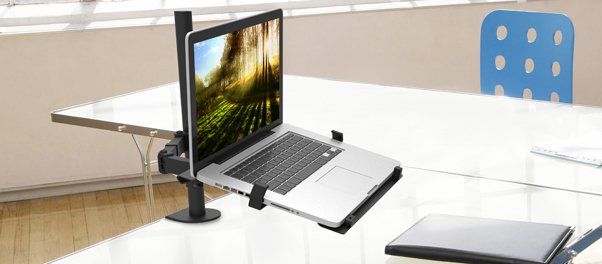 Laptop mounts