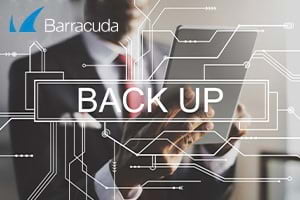 Cloud-to-Cloud Backup